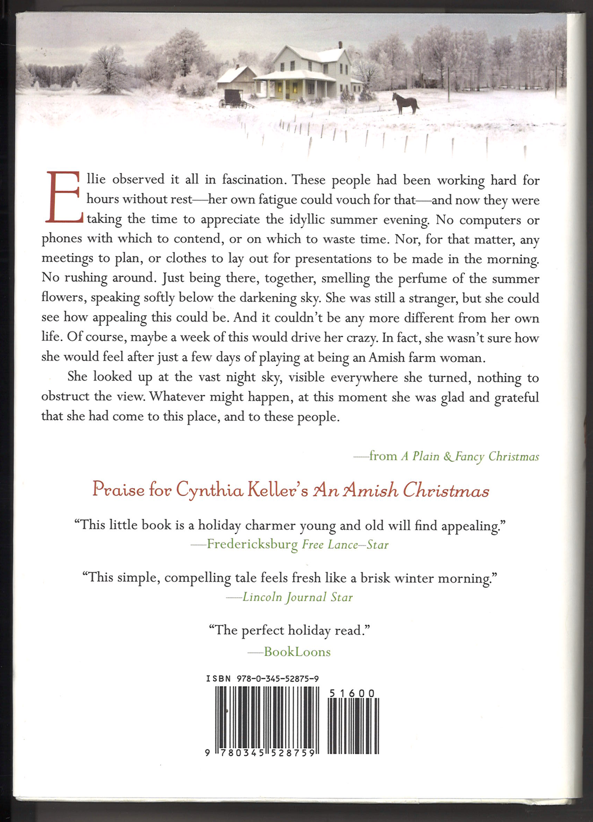 A Plain & Fancy Christmas: A Novel