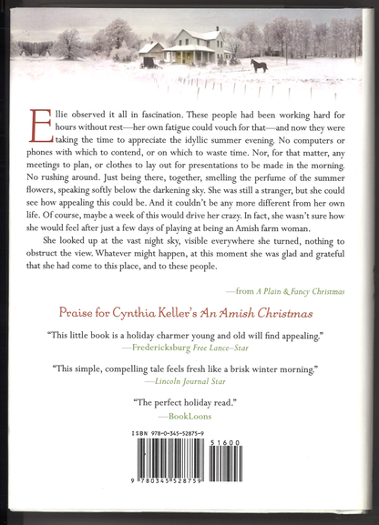 A Plain & Fancy Christmas: A Novel