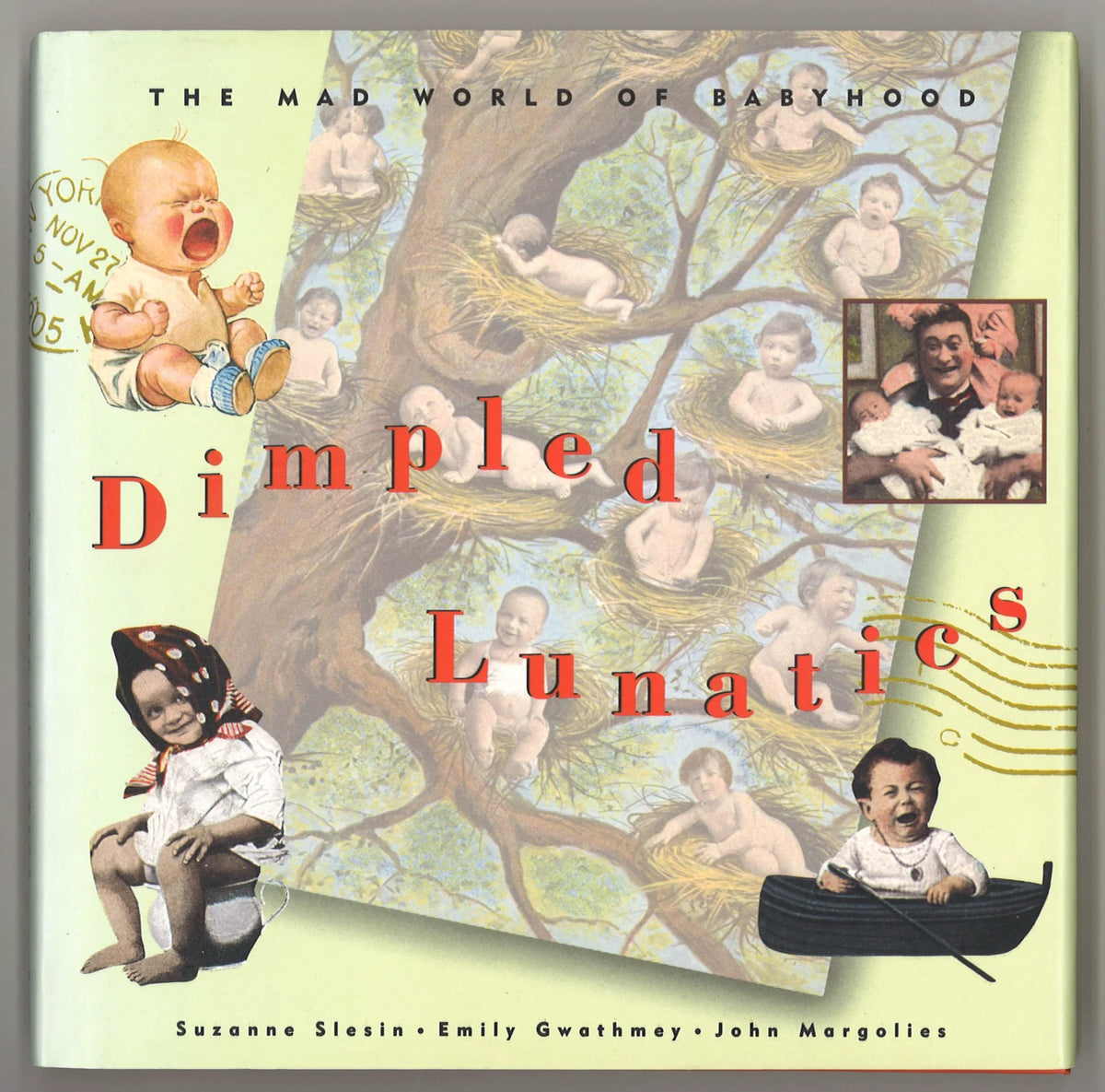 Dimpled Lunatics: The Mad World of Babyhood - The Bookstore