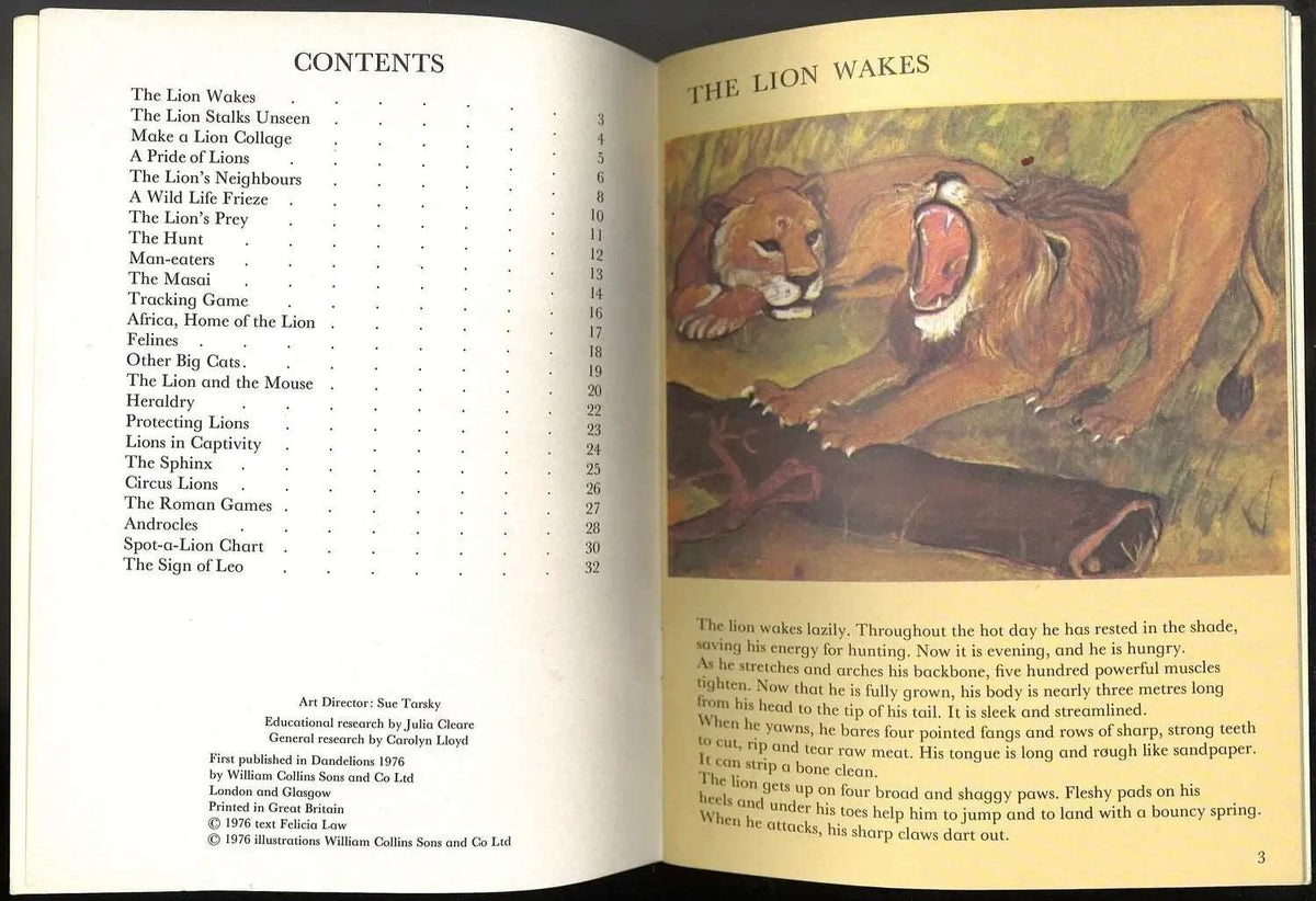 Lions by Felicia Law My Store