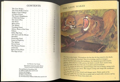 Lions by Felicia Law My Store