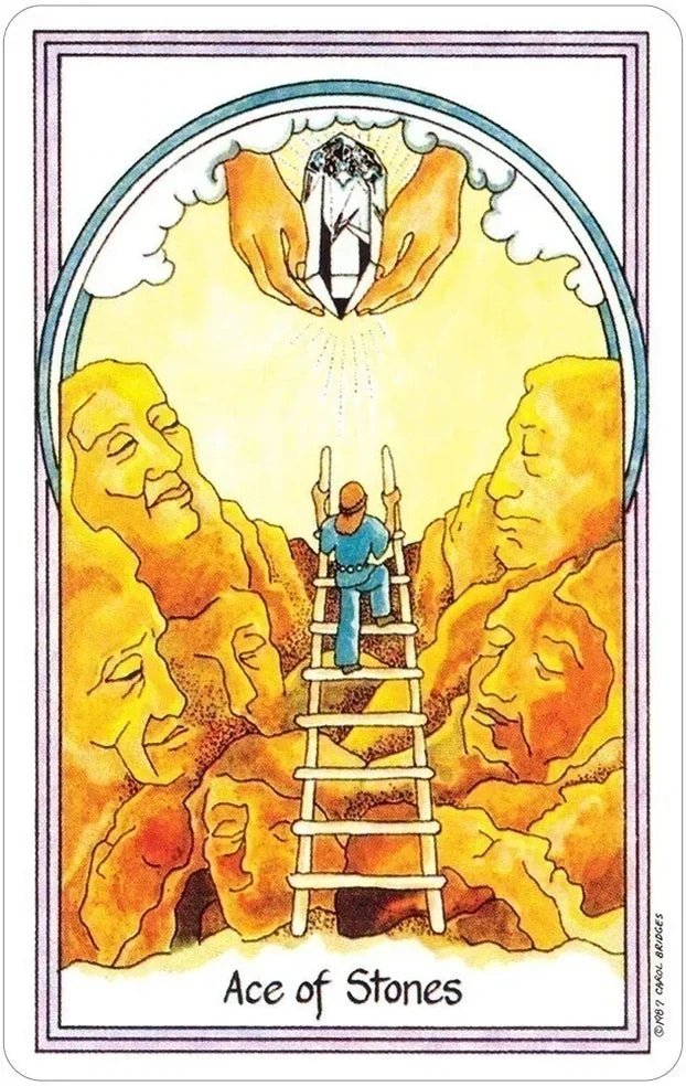 Medicine Woman Tarot Deck by Carol Bridges The Bookstore 1
