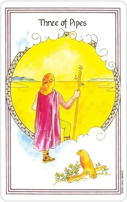 Medicine Woman Tarot Deck by Carol Bridges The Bookstore 1