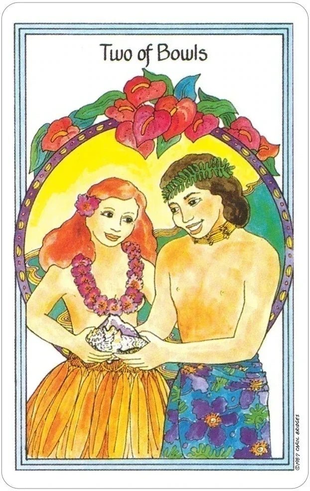 Medicine Woman Tarot Deck by Carol Bridges The Bookstore 1