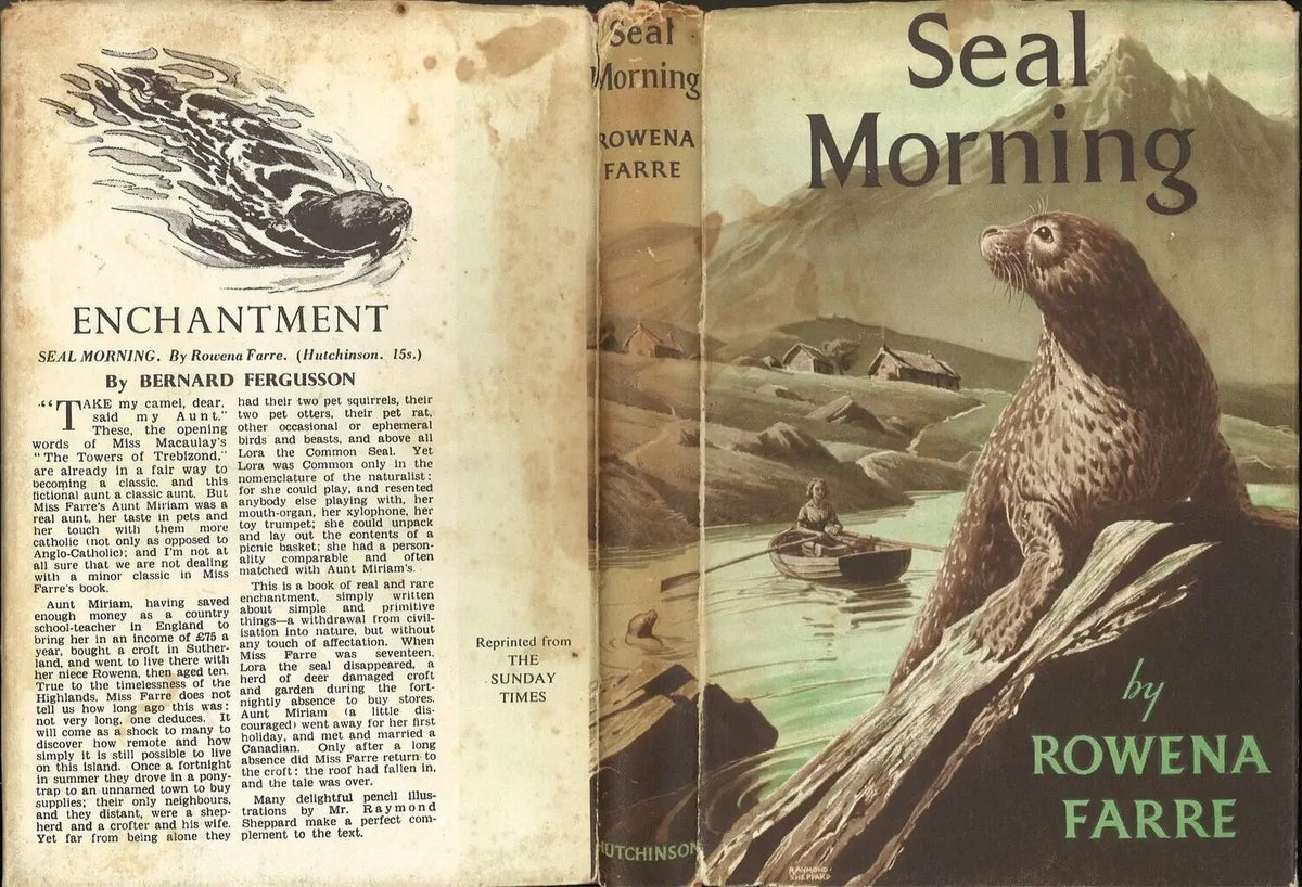 Seal Morning by Rowena Farre My Store