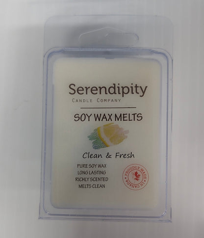 Serendipity Soy Wax Melts - The Bookstore