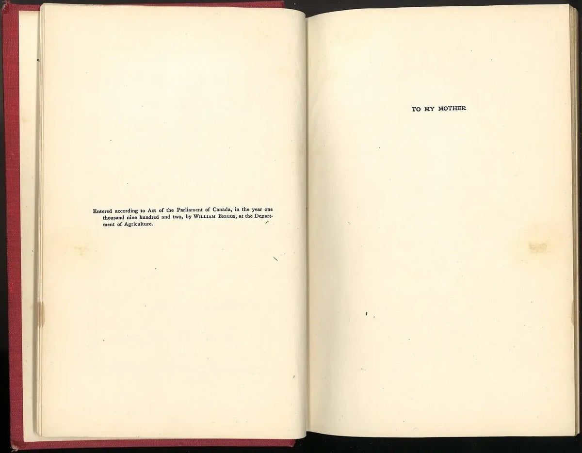 Stillman Gott: Farmer and Fisherman by Edwin Day Sibley My Store